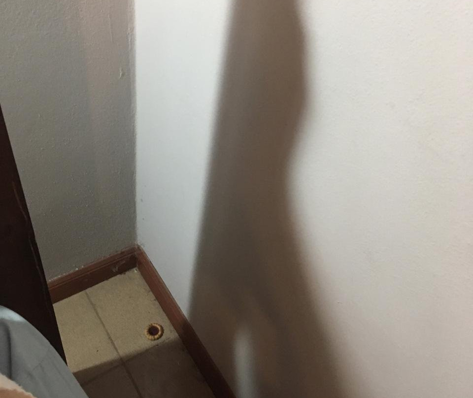 Hotel Los Tilos主图