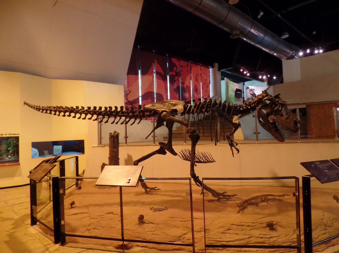 Kalasin Museum-加拉信必去景点