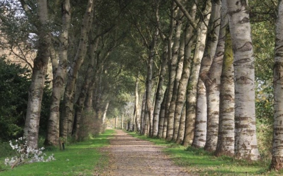 Natuur en Recreatiegebied Broekpolder景点图片