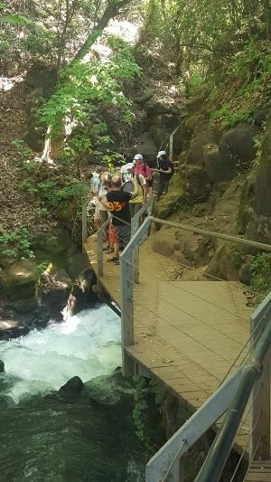 Banias Nature Reserve-戈兰高地必去景点