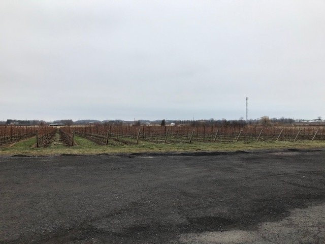 GreenLane Estate Winery-威兰德必去景点