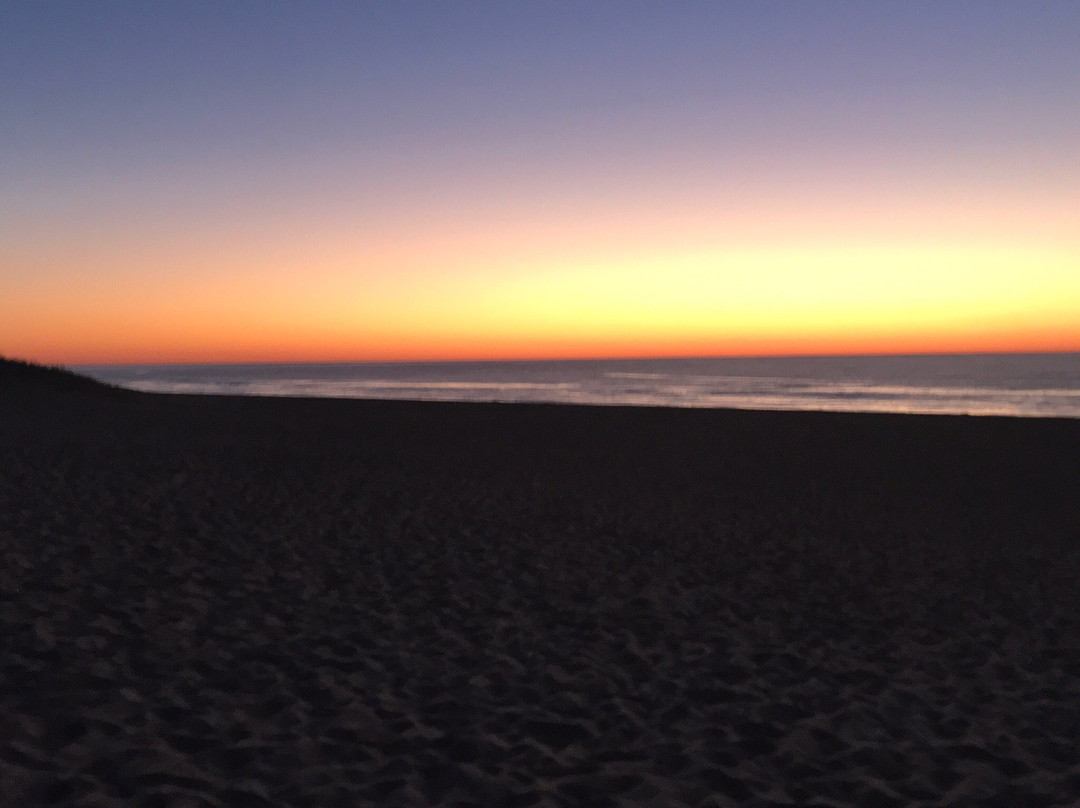 阿拉比假日公寓酒店主图