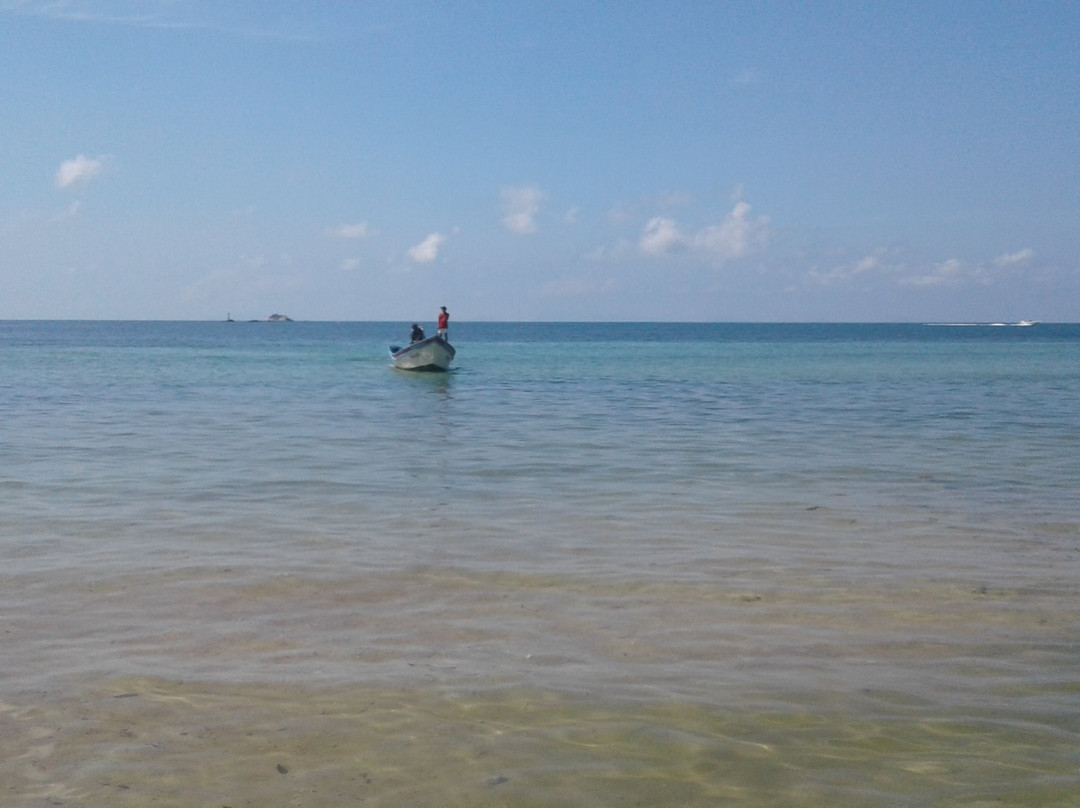 本杰明小屋主图