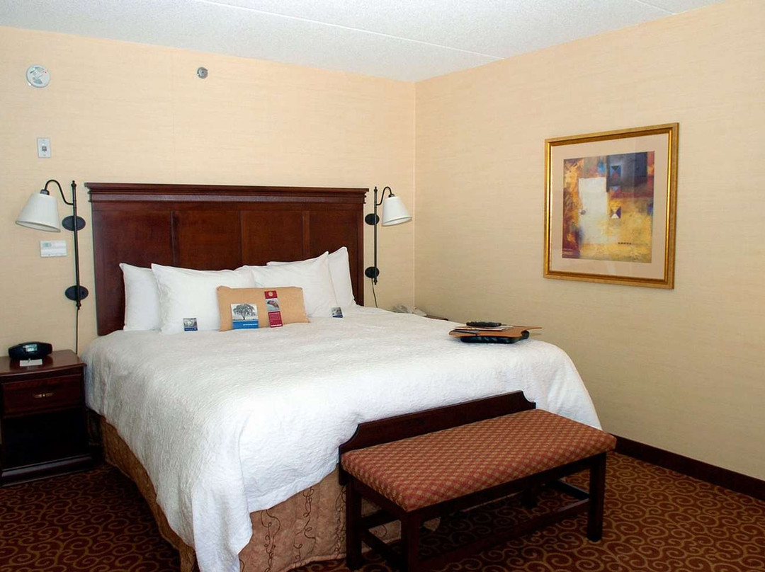 Hampton Inn by Hilton Napanee主图