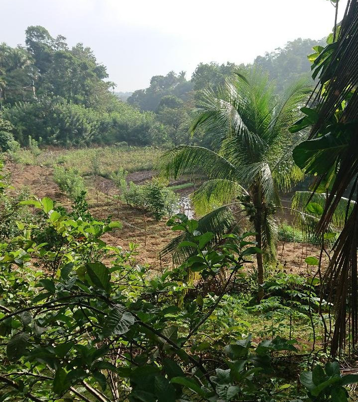 Landa Holiday Houses主图