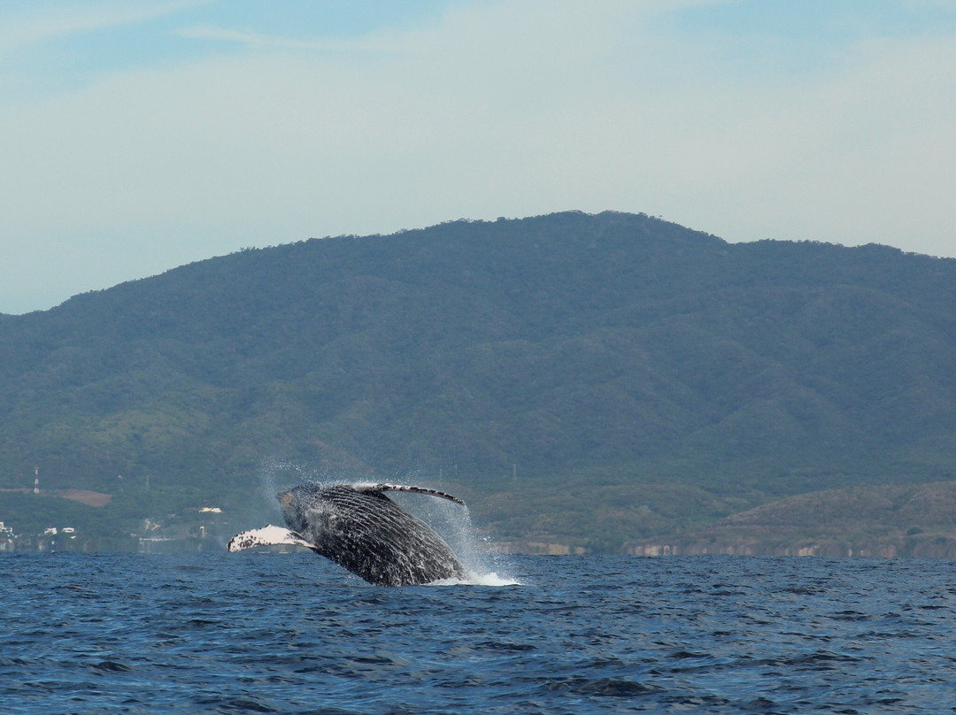 BIOCEAN Wildlife Encounters-新瓦雅塔必去景点