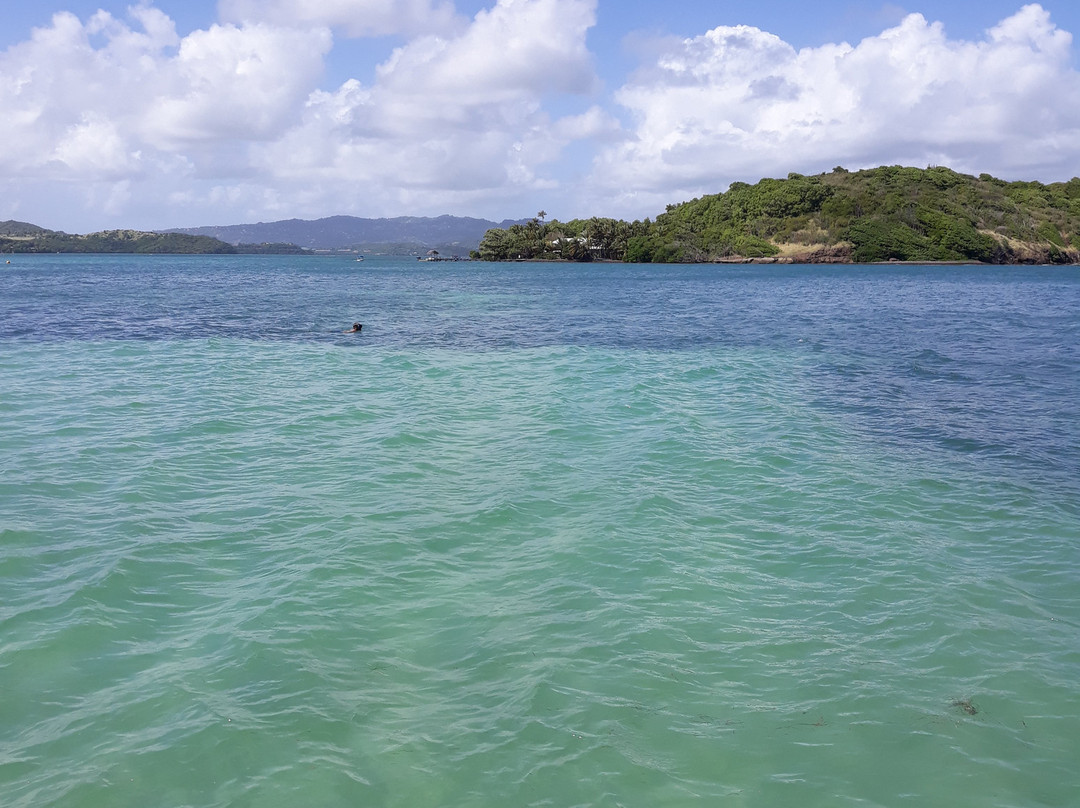 Fonds Blancs Martinique-Le Francois必去景点