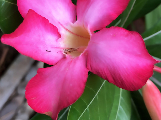 Uyang Bed and Breakfast主图