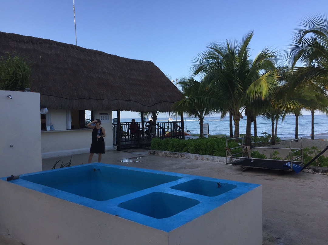Pro Dive Mexico景点图片