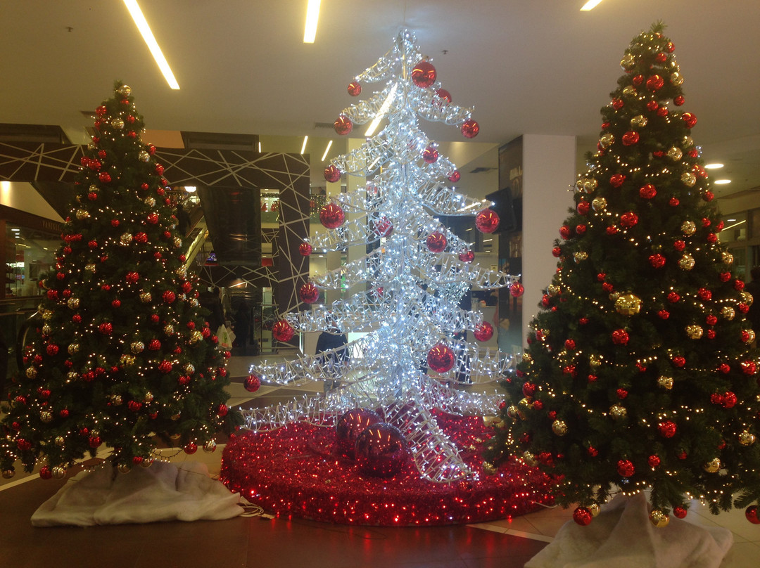Il Grifone Shopping Center-巴萨诺－德尔格拉帕必去景点