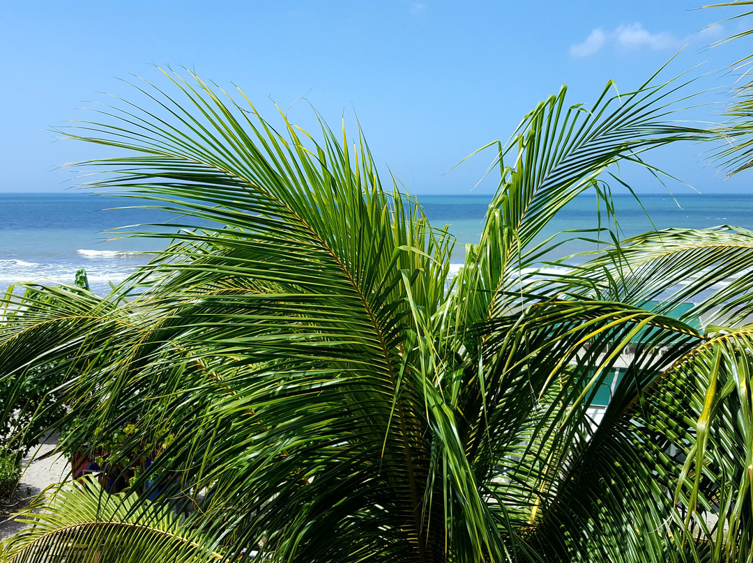 Aria Hotel & Spa主图