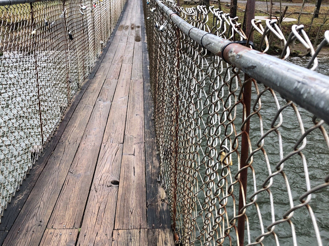 Dark Island Swinging Bridge-汤森必去景点