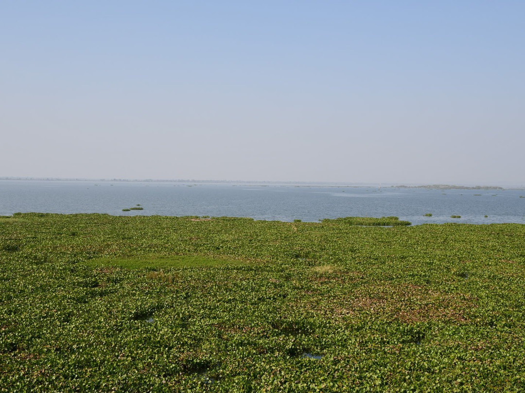 Indirasagar Dam (Gosikhurd Project)景点图片