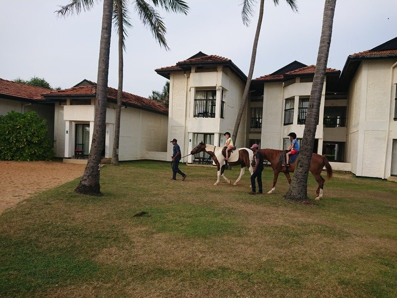 海豚俱乐部饭店主图