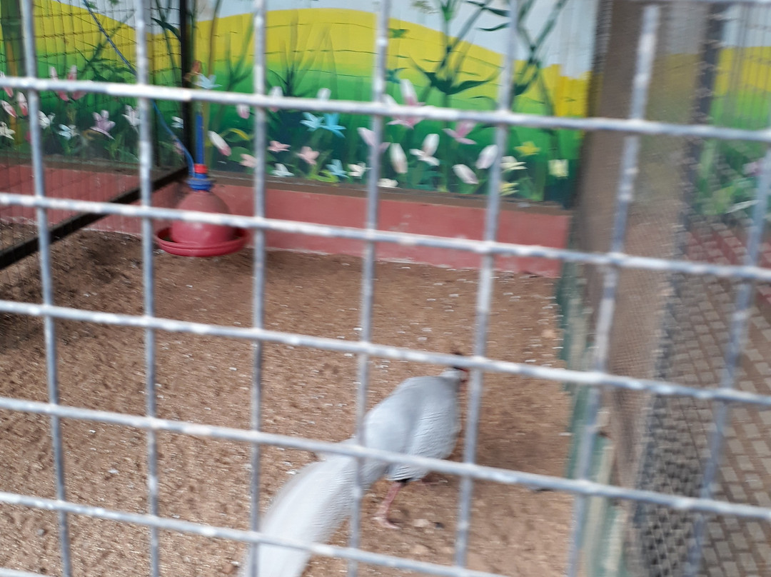 Regional Agricultural Research Station-Sulthan Bathery必去景点