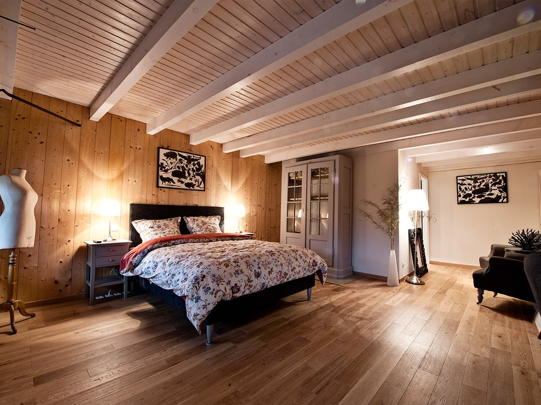 Kruth酒店住宿-Les Arts Verts