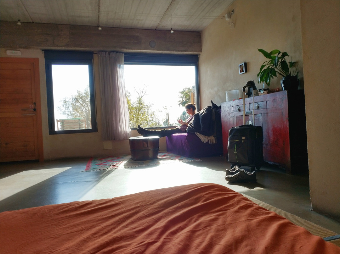 Hotel La Canela主图