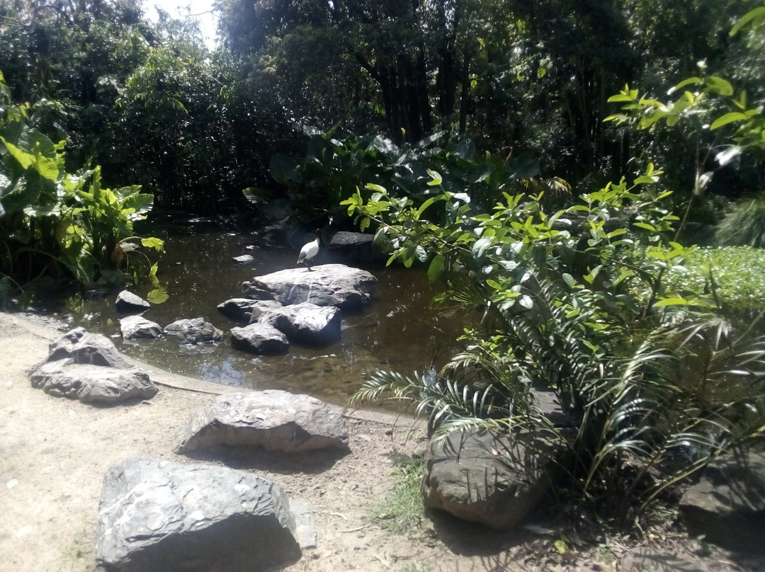 Redcliffe Botanic Gardens景点图片