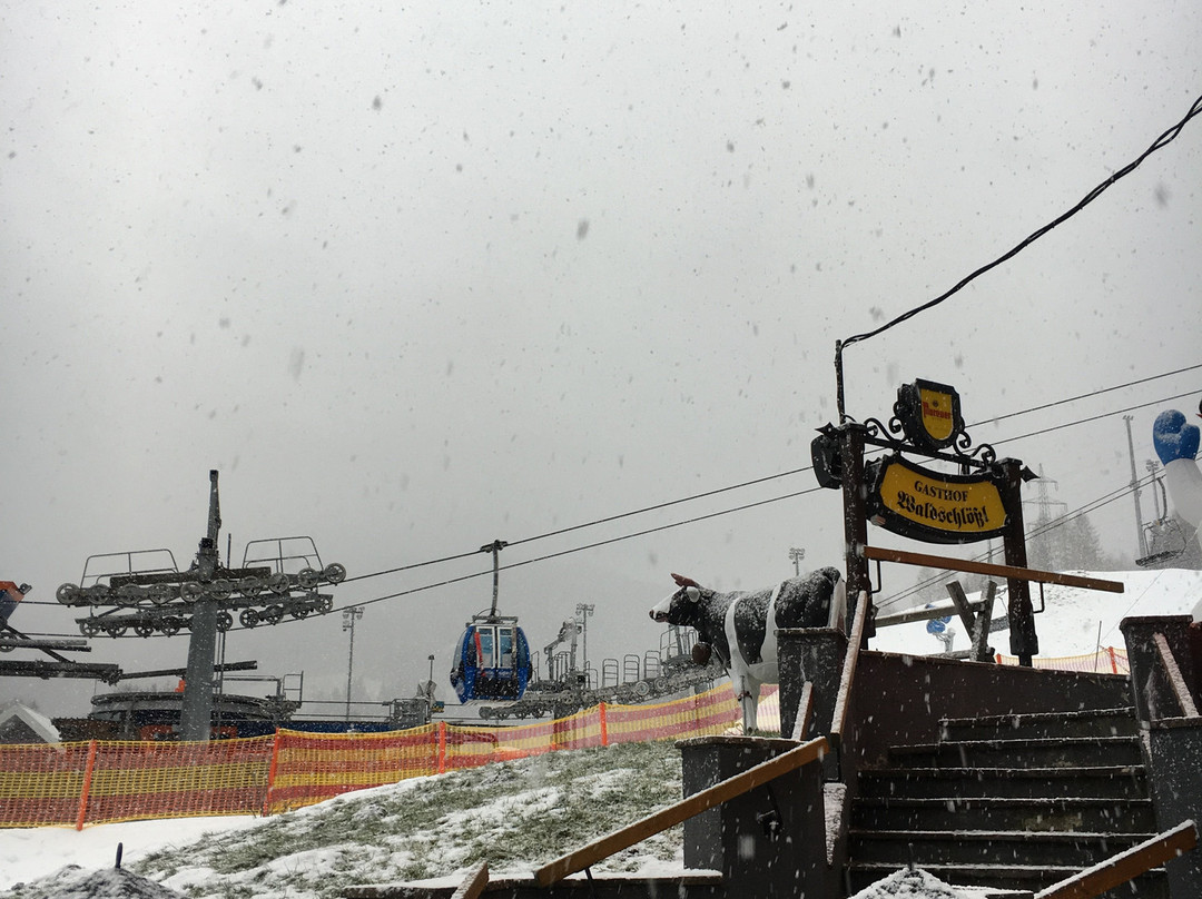 Hotel Waldschloßl主图