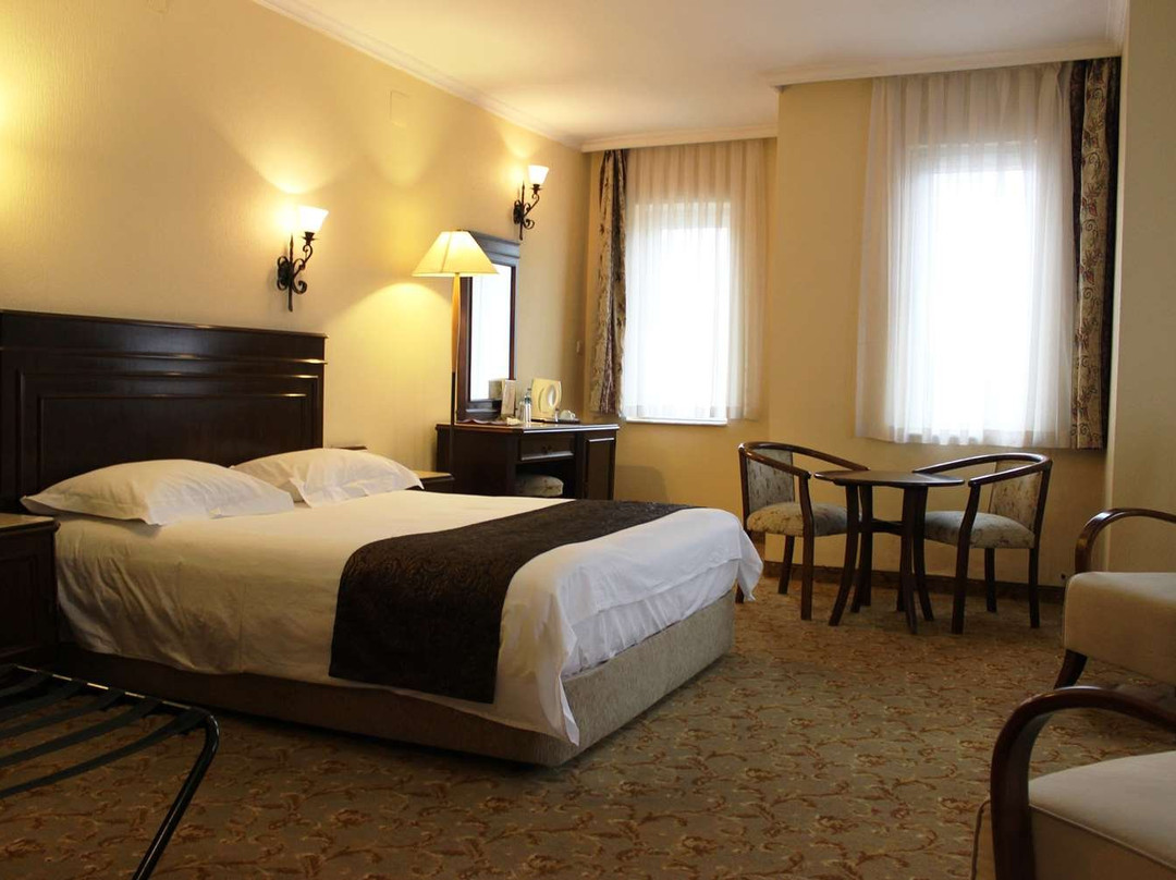 Town Hotel Mudanya主图
