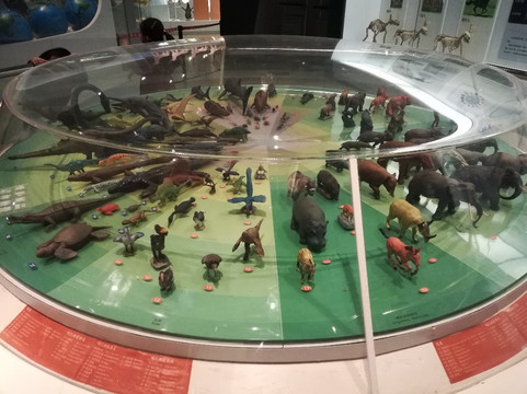 国家动物博物馆-北京市必去景点