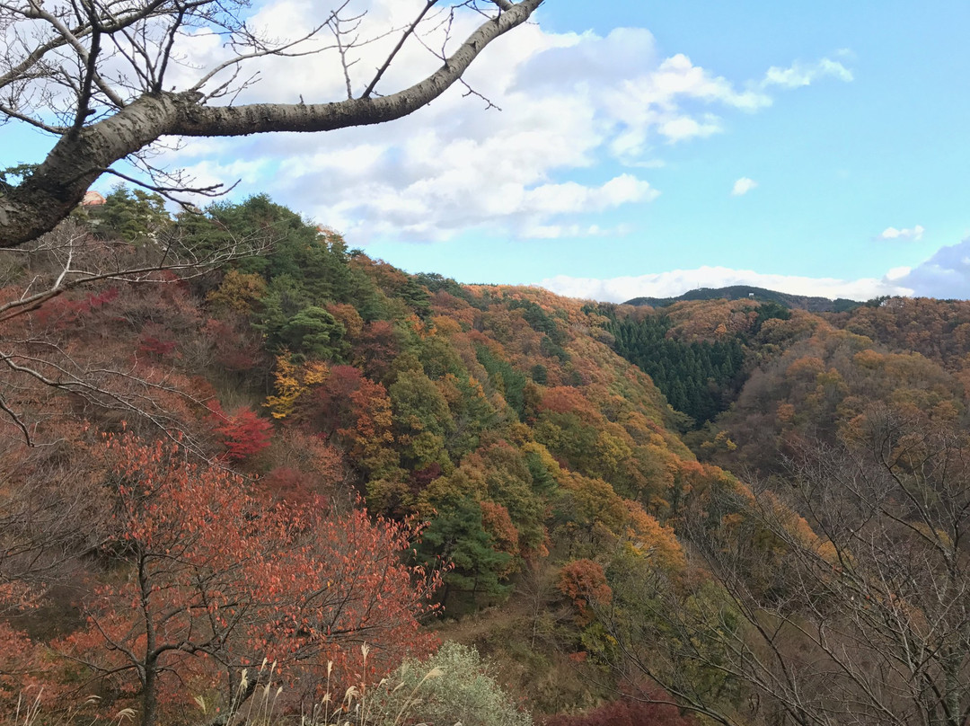 Myoken Forest Fureai Square-川西市必去景点