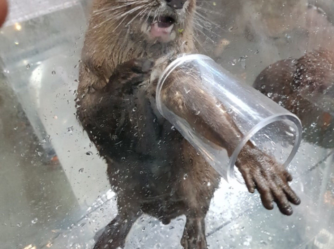 Zoolung Zoolung - Hanam-河南市必去景点