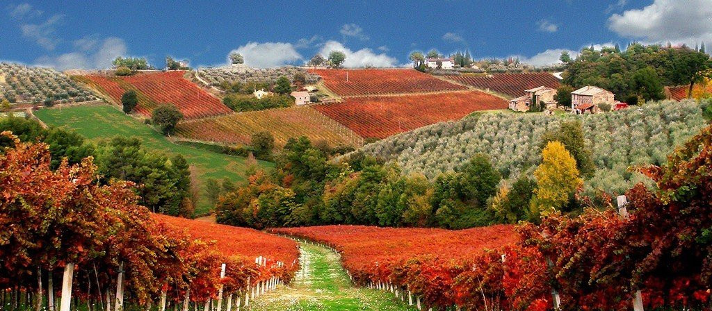 Living Italy-菲乌米奇诺必去景点