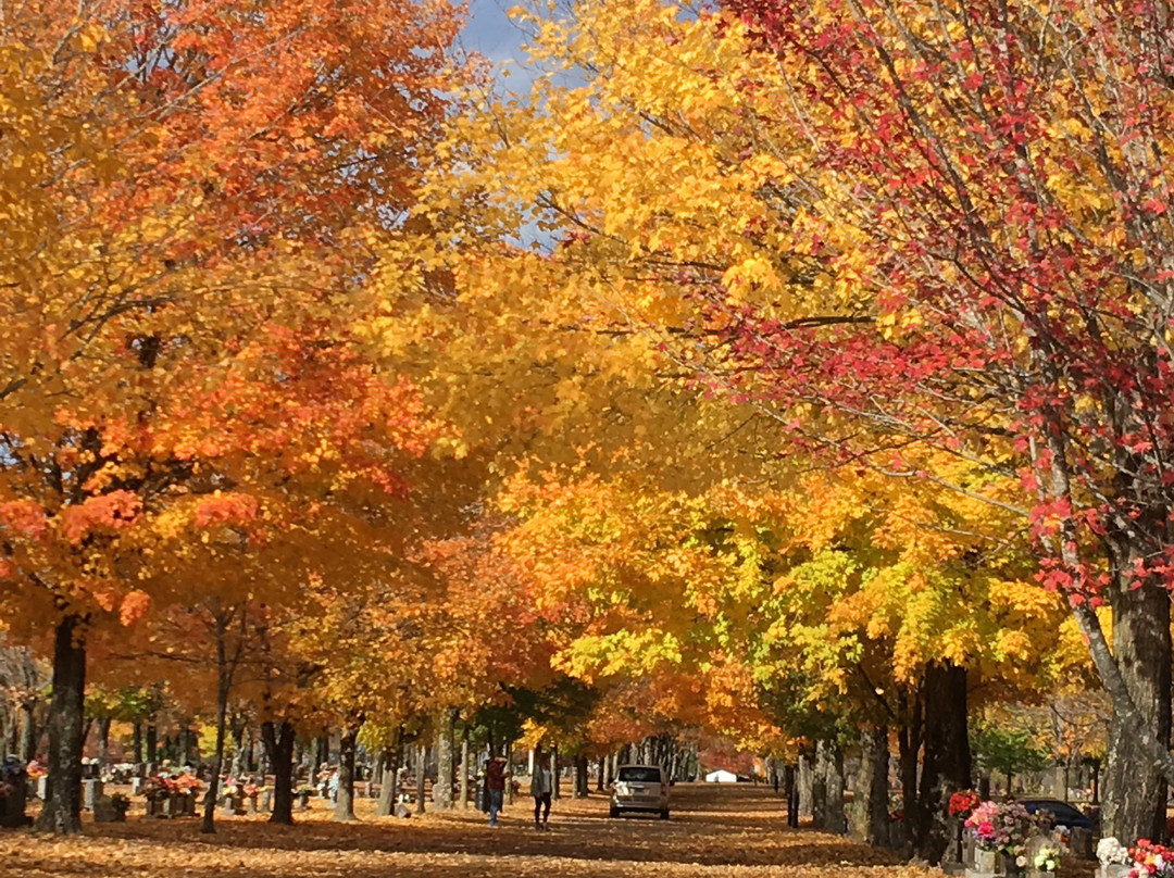 Maplewood Cemetery-Harrison必去景点