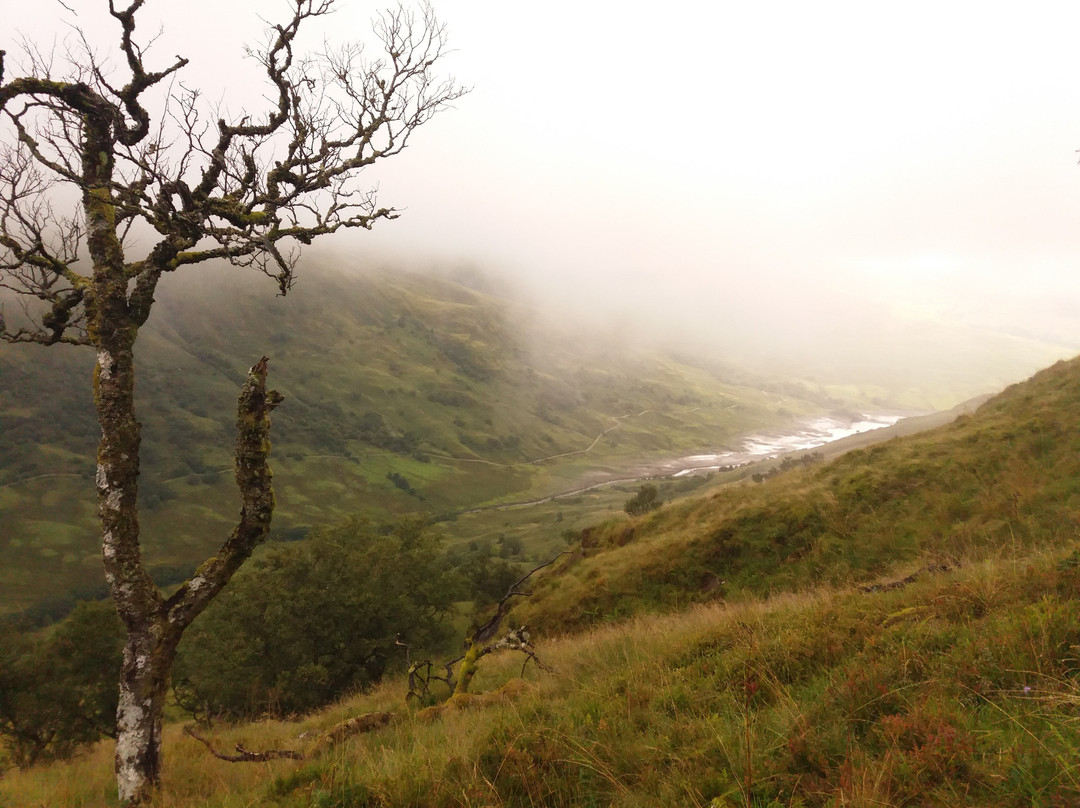 Glen Finglas Visitor Gateway & Estate-洛蒙德湖与特罗萨克斯山国家公园必去景点