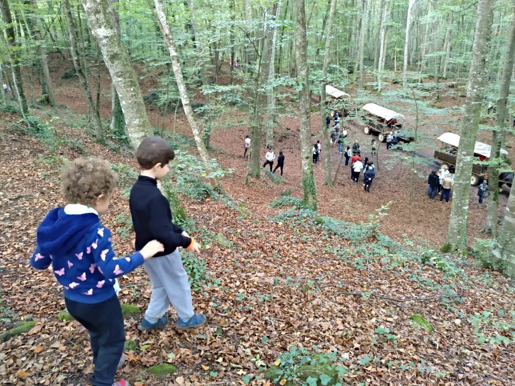 坎布兰科酒店主图