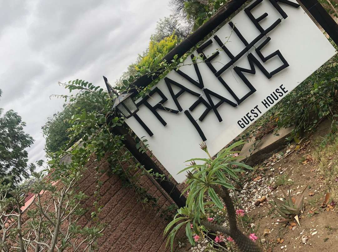 A Traveller's Palm主图