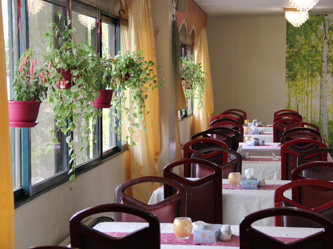 Khaneye Sabz Hotel主图