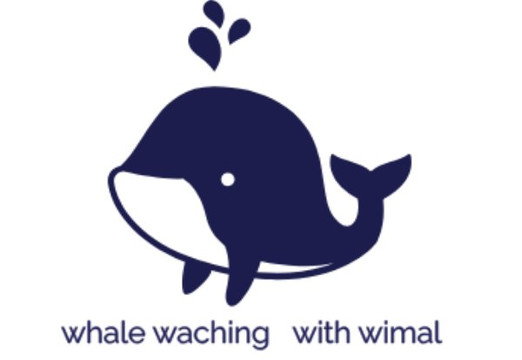 Whale Watching With Wimal-美蕊沙必去景点