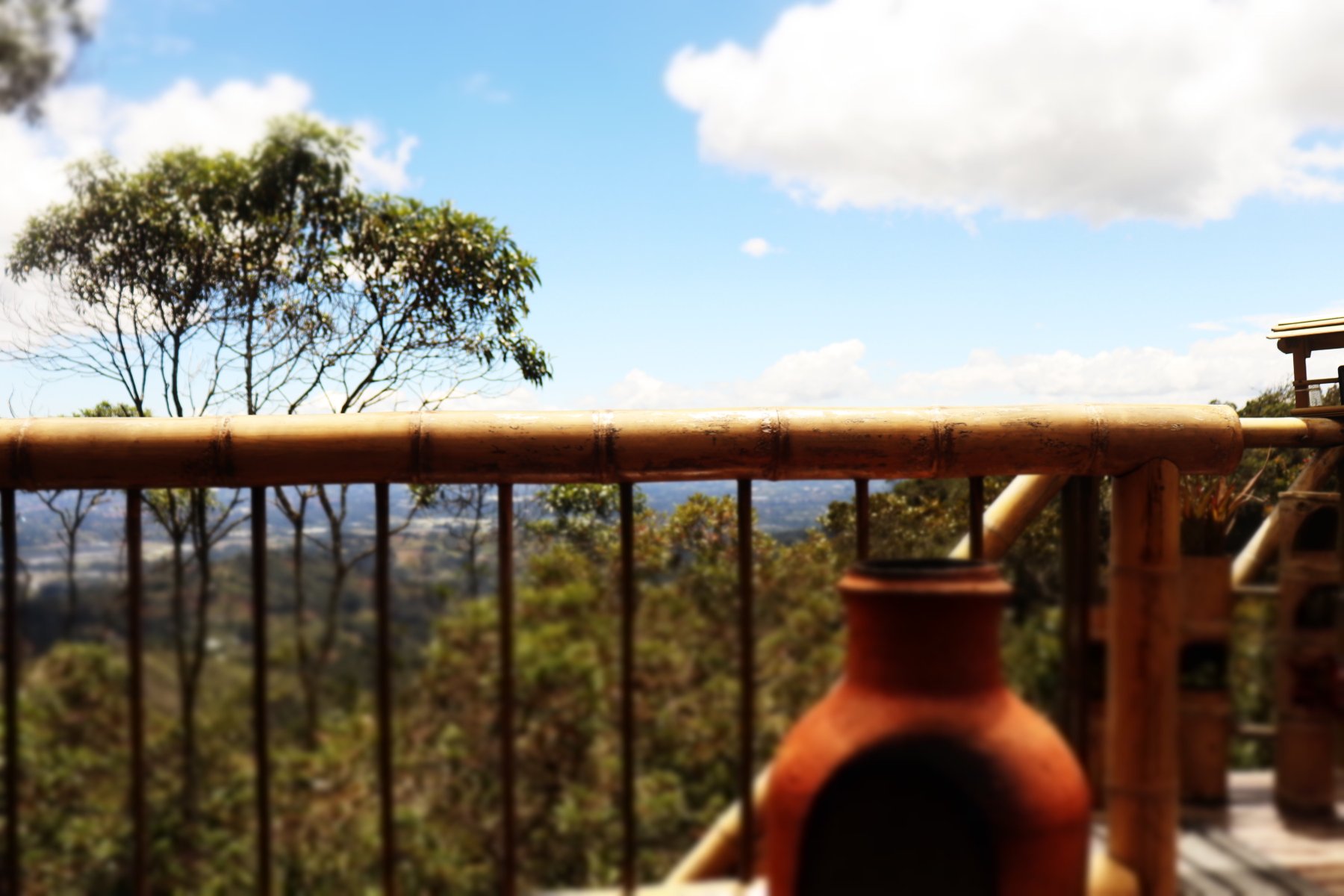 Salvaje Glamping-酒店景观