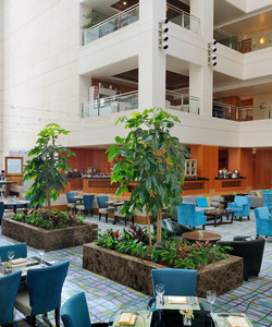 Atrium Restaurant & Lounge餐厅图片