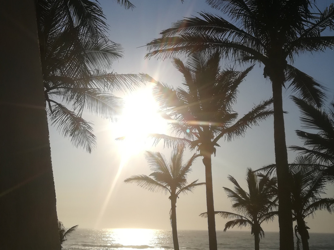 Salt Rock Hotel & Beach Resort主图