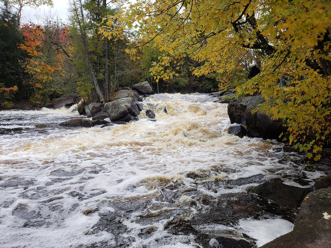 Goodman Park-Goodman必去景点