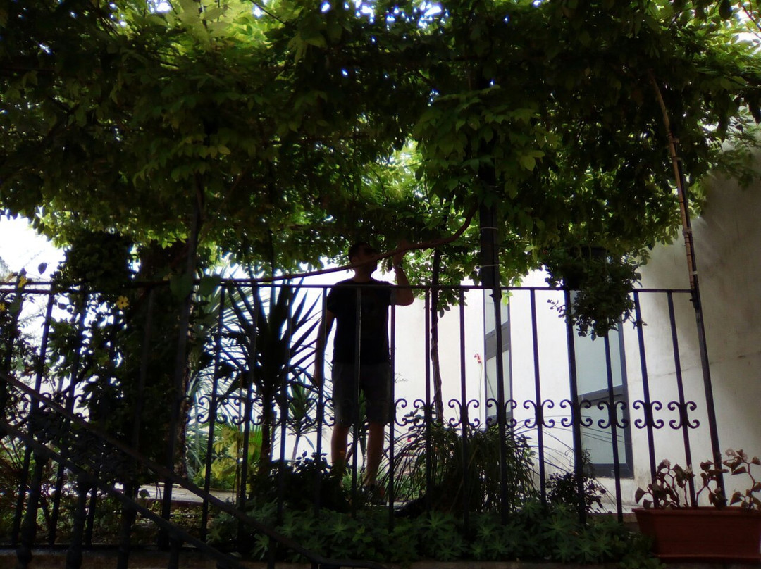 Museo Civico景点图片