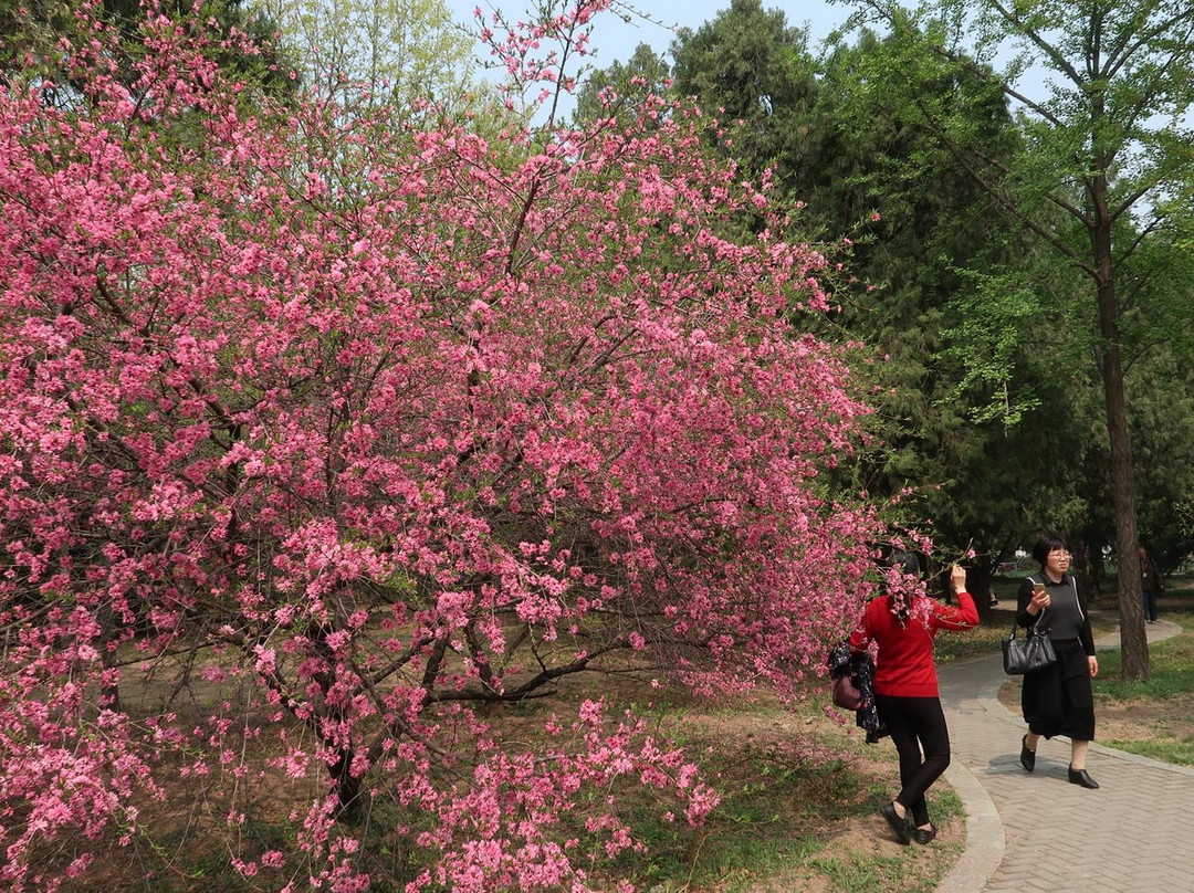 植物园温室-北京市必去景点