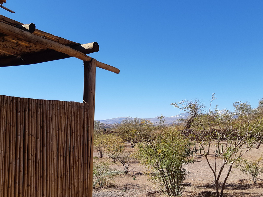 Hotel Cumbres San Pedro de Atacama主图