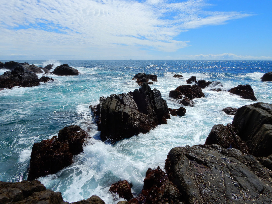 Cape Muroto-室户市必去景点