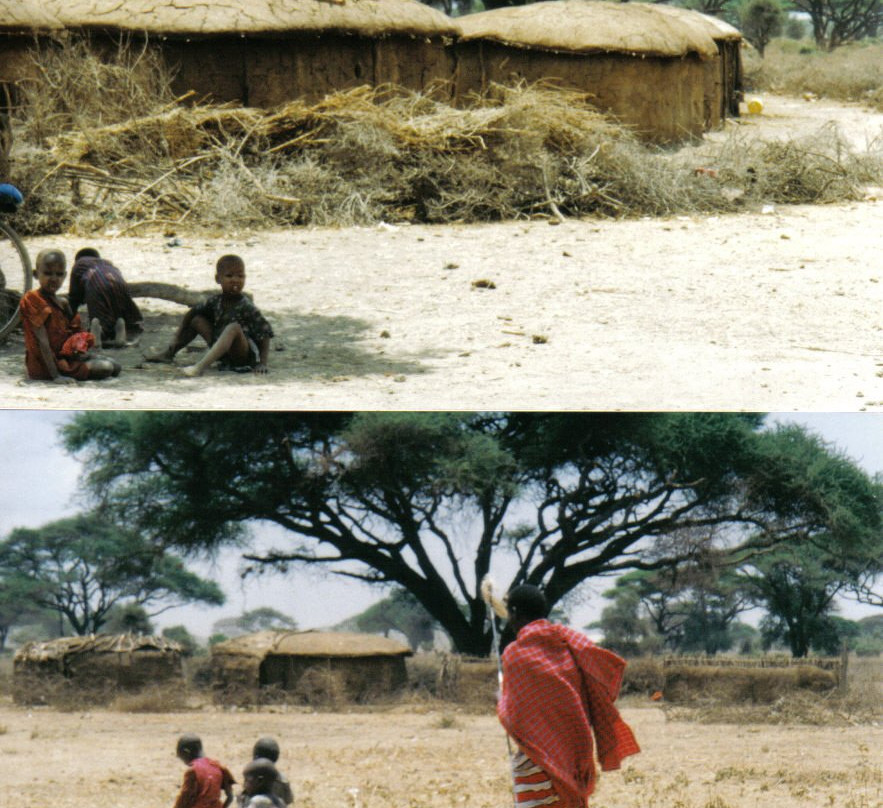 西察沃国家公园旅游攻略图片