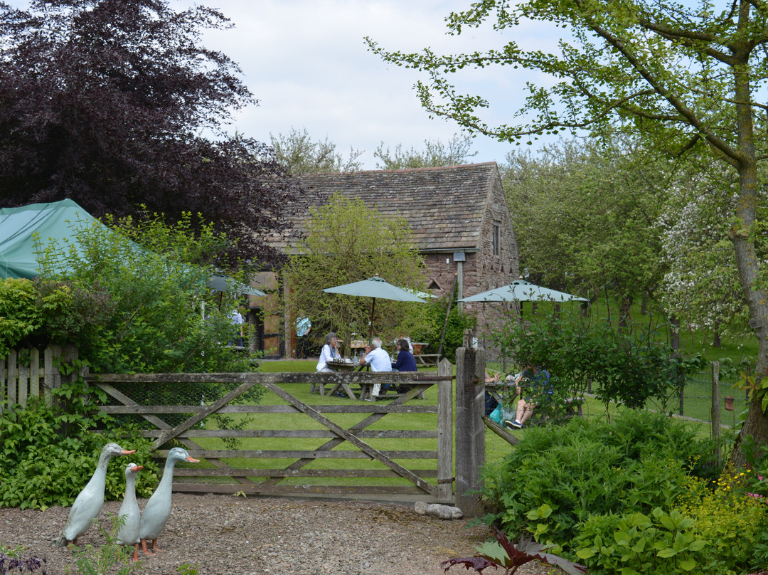 Stockton Bury Gardens景点图片