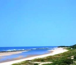 Go Wild Resort主图