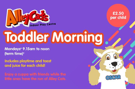 Alley Cats Play Centre-科尔雷恩必去景点