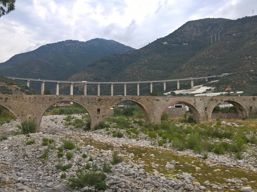 Ponte Antico景点图片