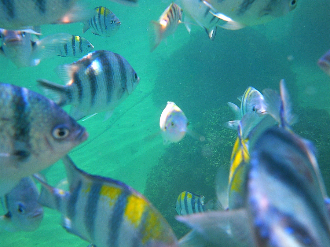 佩曼丹甘劳特别墅主图