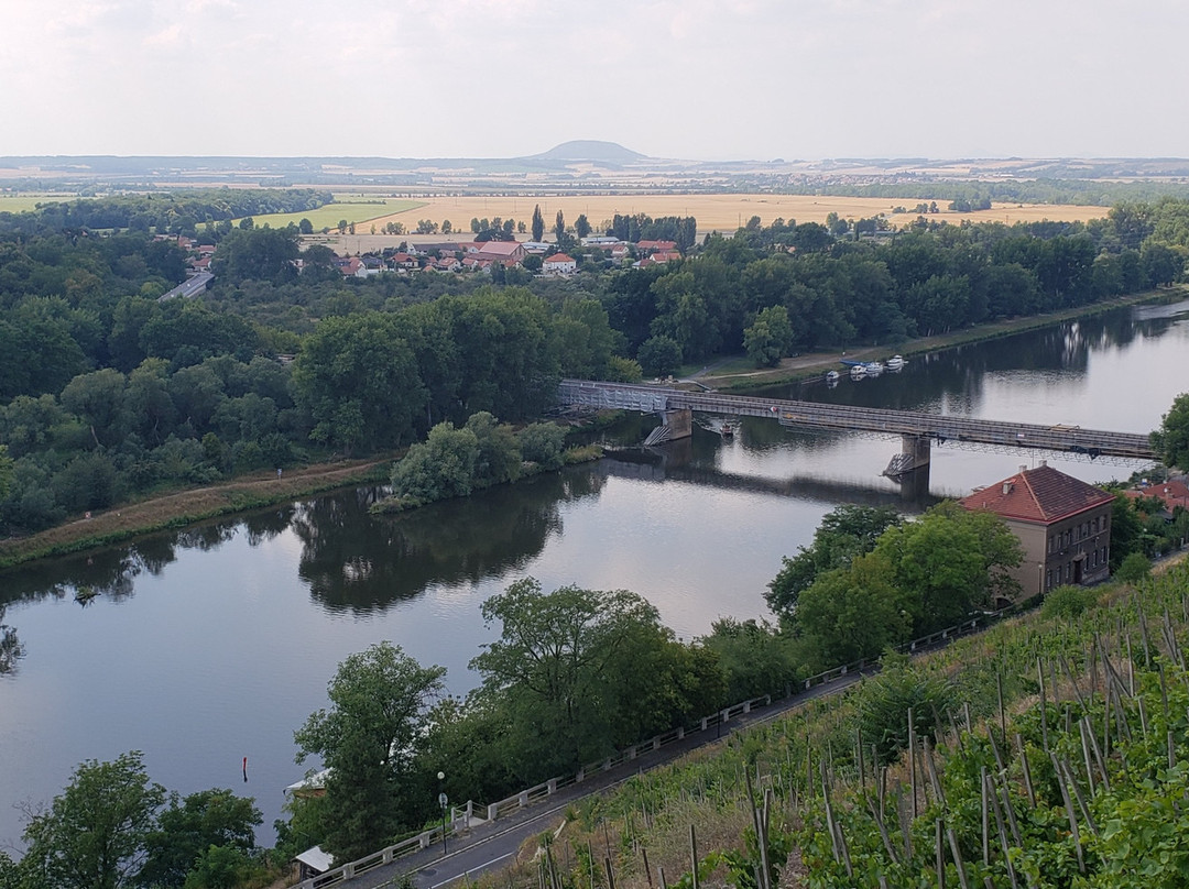 Chateau Melnik Winery景点图片