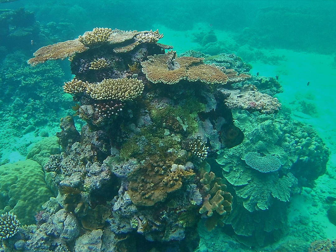 Agincourt Reef景点图片